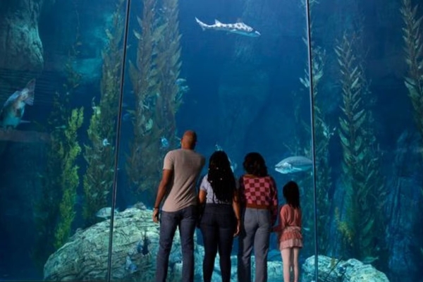 Aquarium of the Pacific Image #2