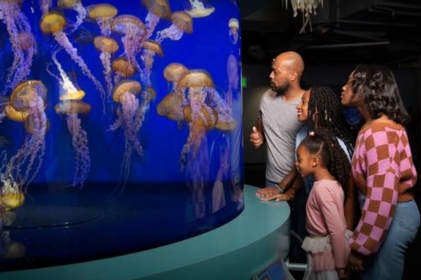 Aquarium of the Pacific Image #6 Aquarium of the Pacific Image #6