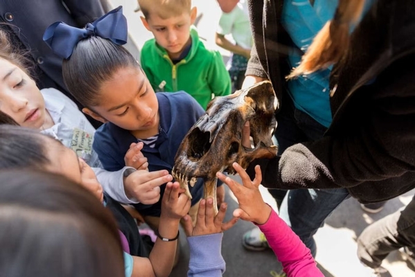 La Brea Tar Pits and Museum Image #5