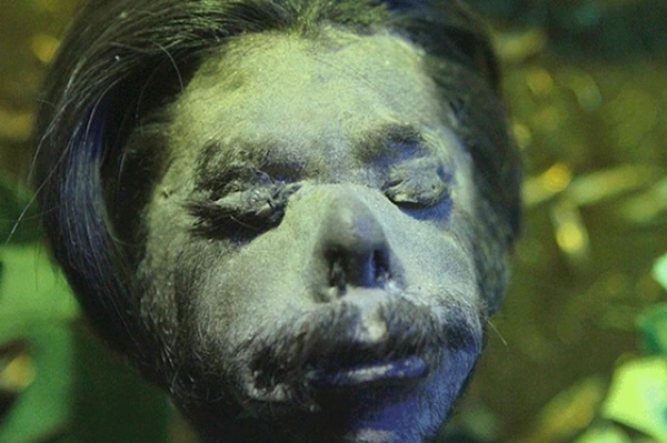 Ripley's Believe It or Not! Image #6 Ripley's Believe It or Not! Image #6