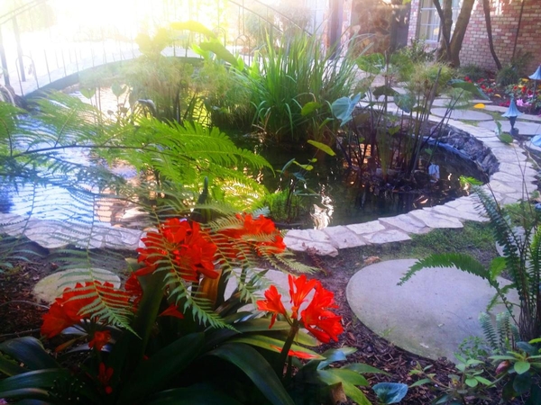 Anaheim Majestic Garden Hotel Image #9 Anaheim Majestic Garden Hotel Image #9