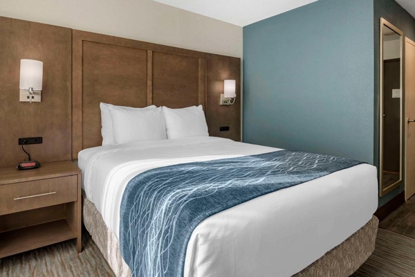 Comfort Inn & Suites Downtown Brickell-Port of Miami Image #24 Comfort Inn & Suites Downtown Brickell-Port of Miami Image #24