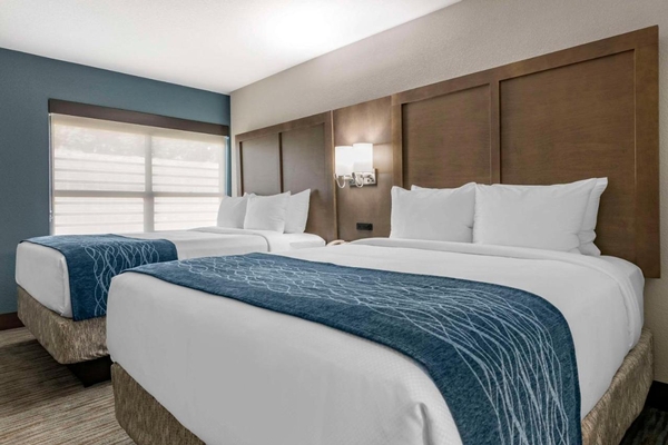 Comfort Inn & Suites Downtown Brickell-Port of Miami Image #35 Comfort Inn & Suites Downtown Brickell-Port of Miami Image #35