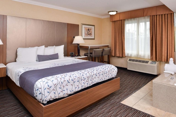 Best Western Airpark Hotel - Los Angeles LAX Airport Image #13