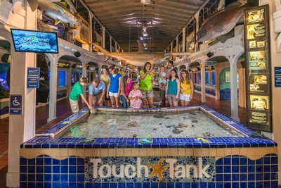 Key West Aquarium Image #3 Key West Aquarium Image #3