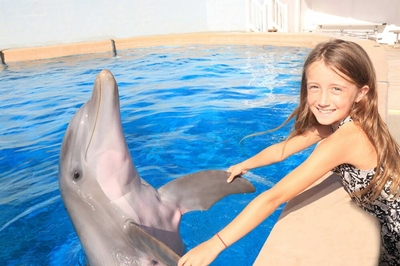 Gulf World Marine Park Image #2