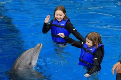 Gulf World Marine Park Image #3