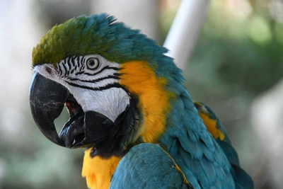 Gulf World Marine Park Image #4