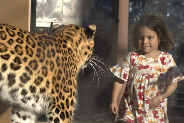 Phoenix Zoo Image #4 Phoenix Zoo Image #4