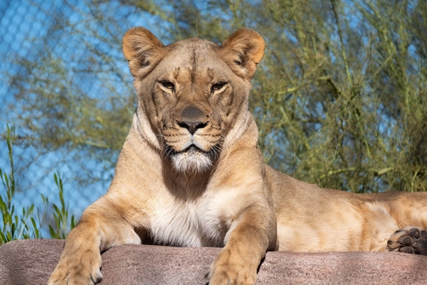 Phoenix Zoo Image #5