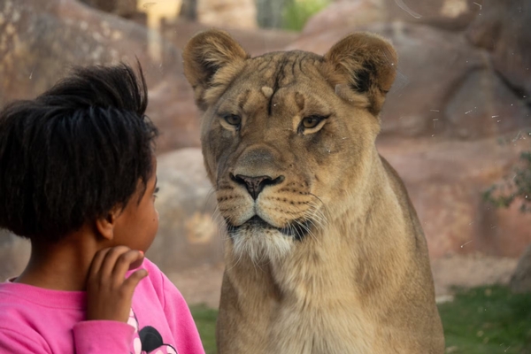 Phoenix Zoo Image #7