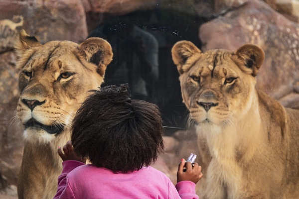 Phoenix Zoo Image #8