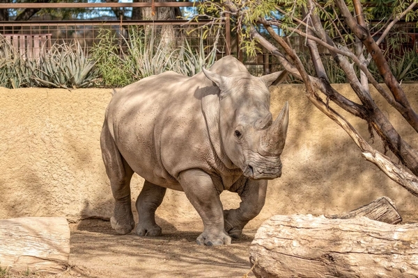 Phoenix Zoo Image #11