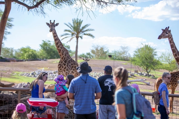 Phoenix Zoo Image #19